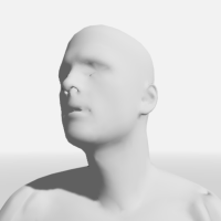 200LUpRight_face.png