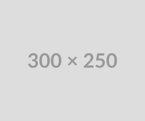 300x250.png