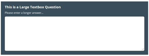 Image shows the finished view of a Large Text Box. The Image text reads: This is a Large Text Box Question. Please enter a longer answer.